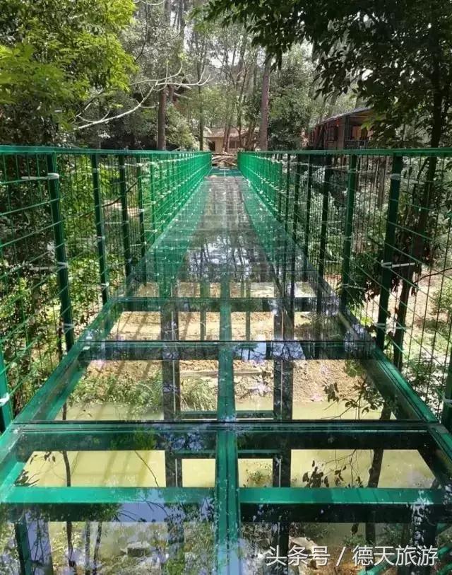 柳州市内又一座玻璃桥开通了，带上宝贝去耍吧！