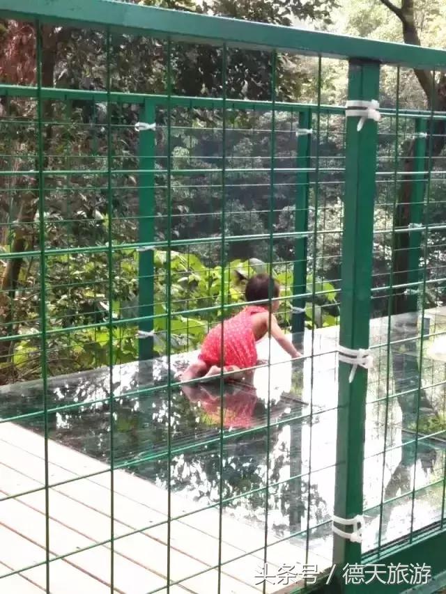 柳州市内又一座玻璃桥开通了，带上宝贝去耍吧！
