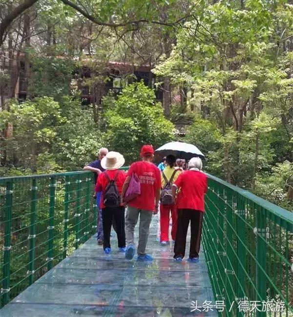 柳州市内又一座玻璃桥开通了，带上宝物去耍吧！